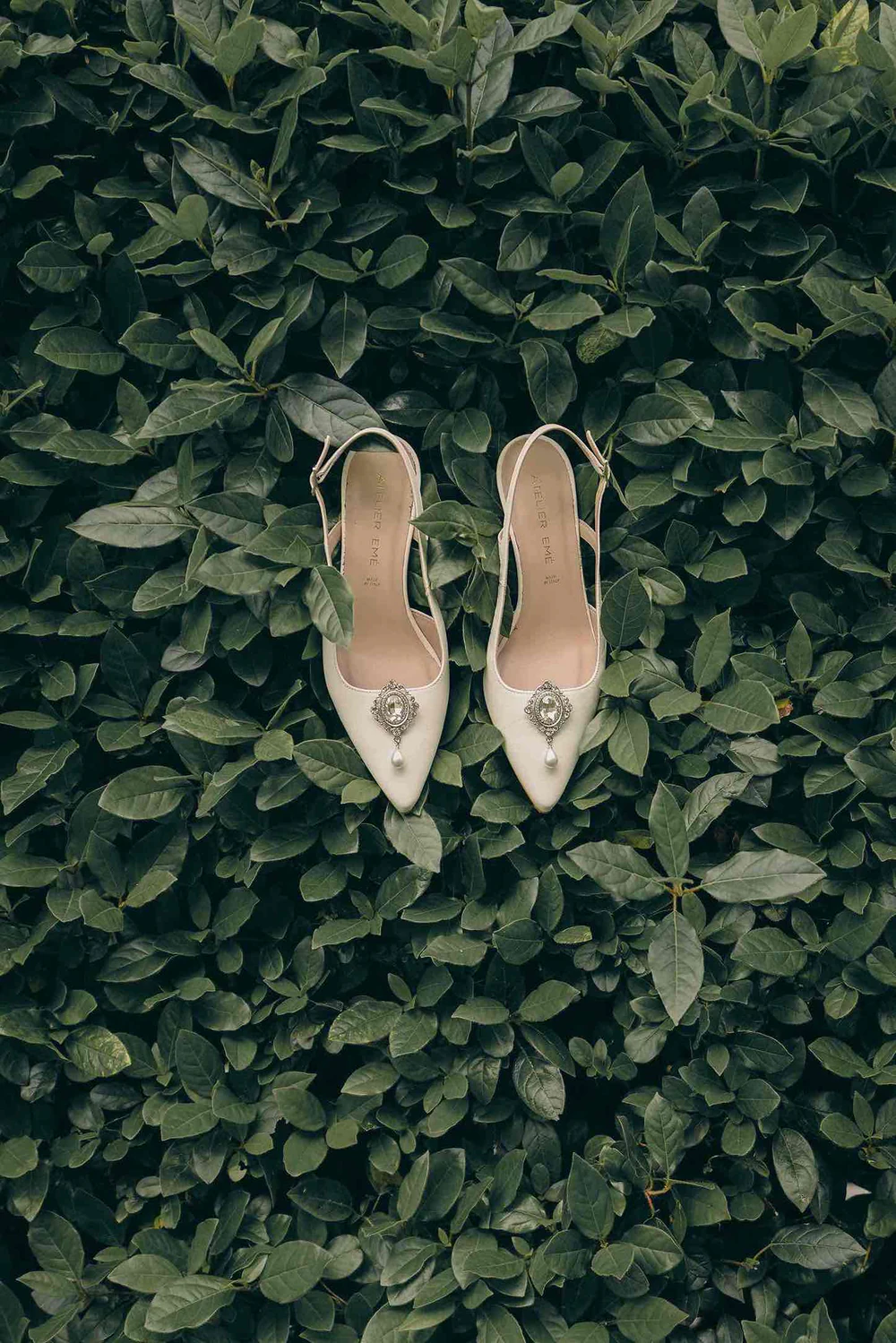 Le scarpe della sposa appoggiate su una parete di foglie di edera